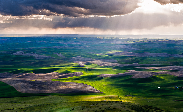 Palouse Hills by Niels Nielsen Palouse Hills by Niels Nielsen